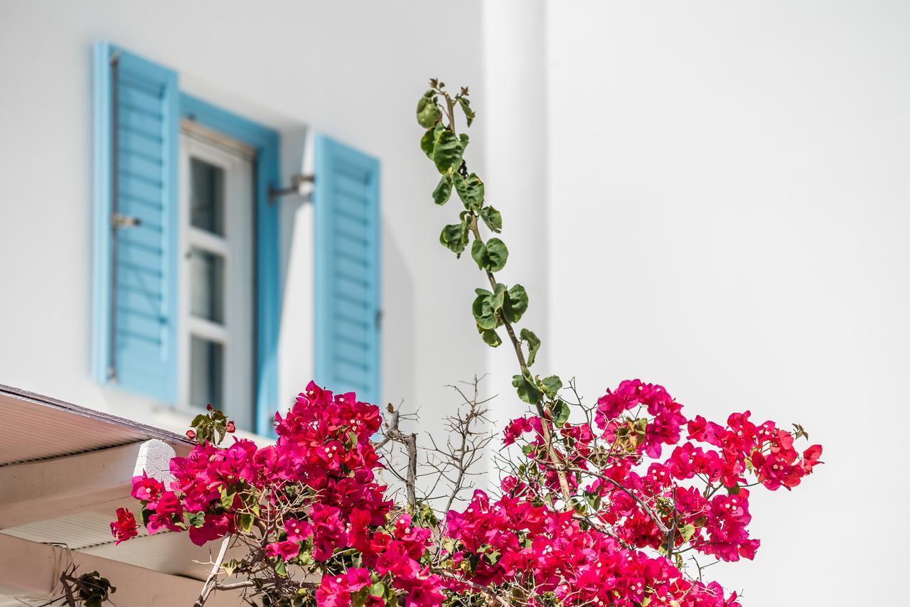 Capo Di Mykonos Resort Agios Ioannis Diakoftis Exterior photo